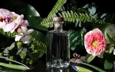 Best Perfumes in Pakistan – Top Brands & Prices 2025